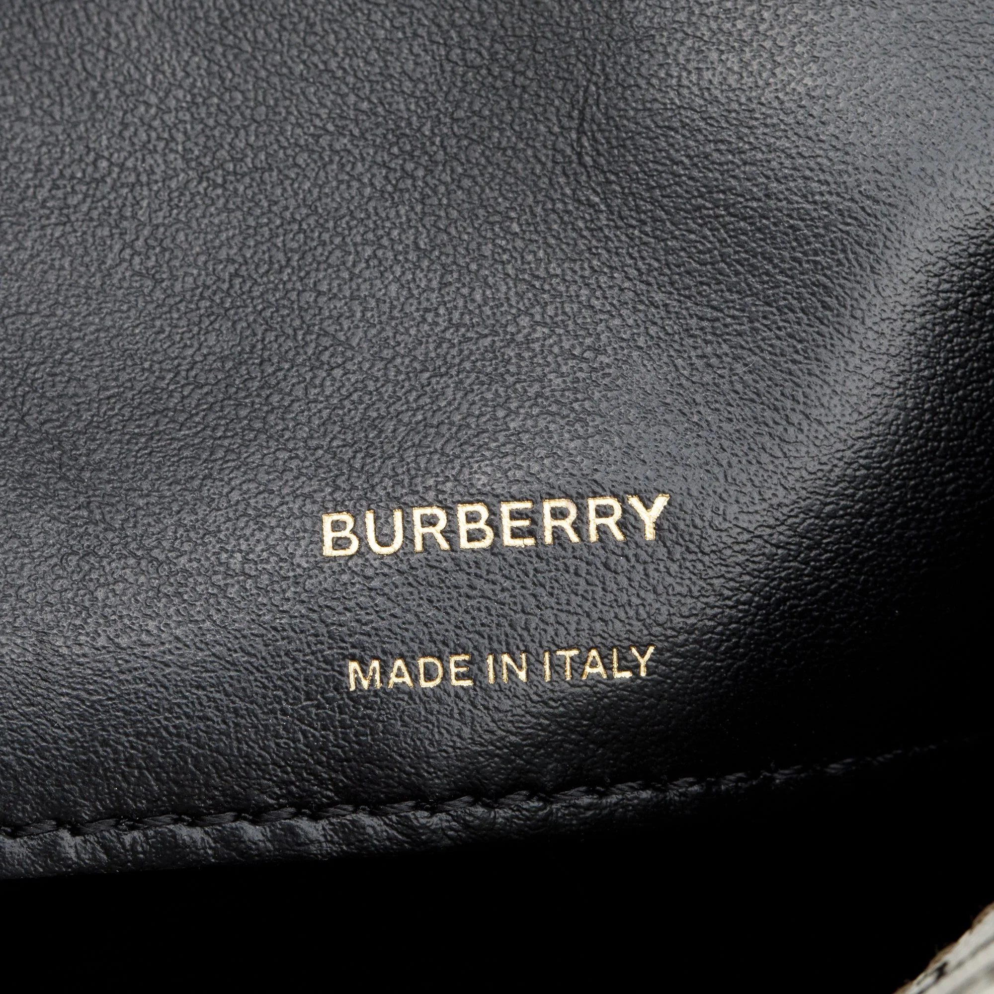 Burberry Brown TB Monogram Stripe E-Canvas Blue Micro Camera Crossbody Bag - Image 8