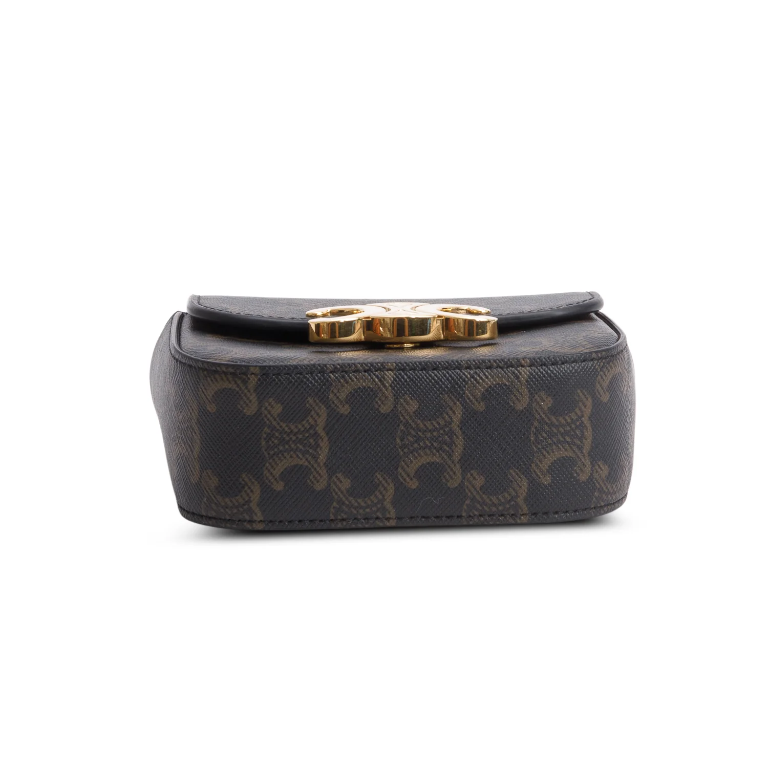 Celine 2022 Triomphe Canvas Calfskin Mini Claude w/ Strap - Image 7