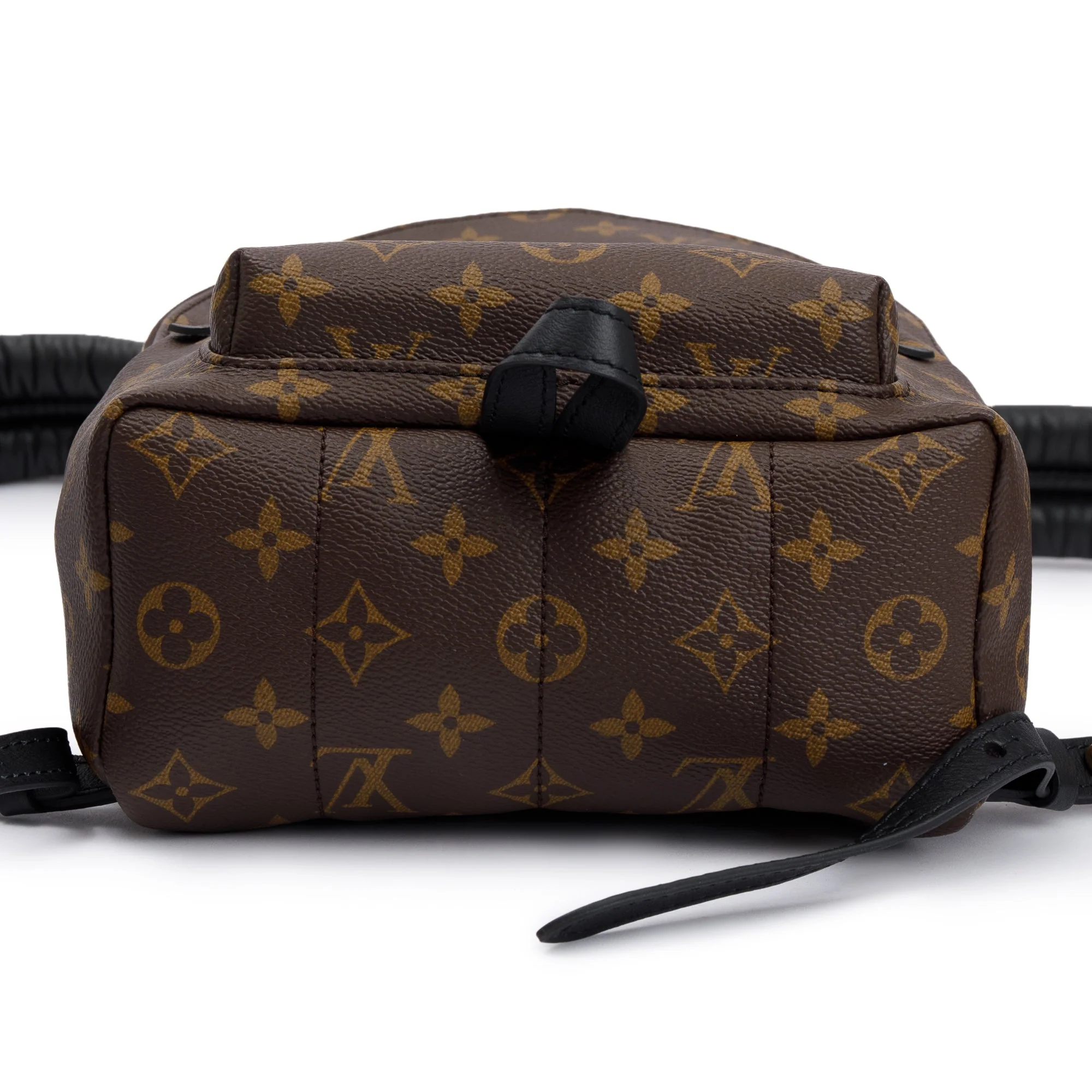 Louis Vuitton 2020 Monogram Palm Springs Backpack PM - Image 5