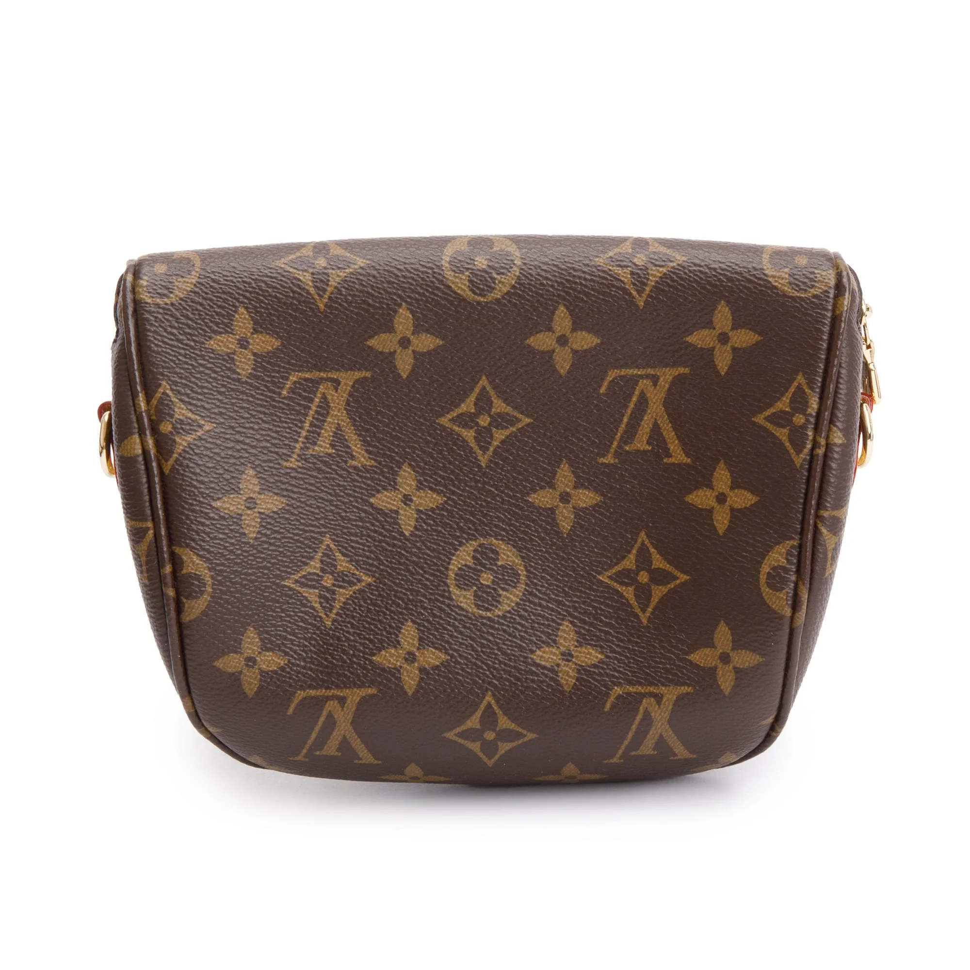 Louis Vuitton 2022 Monogram Mini Bumbag - Image 5