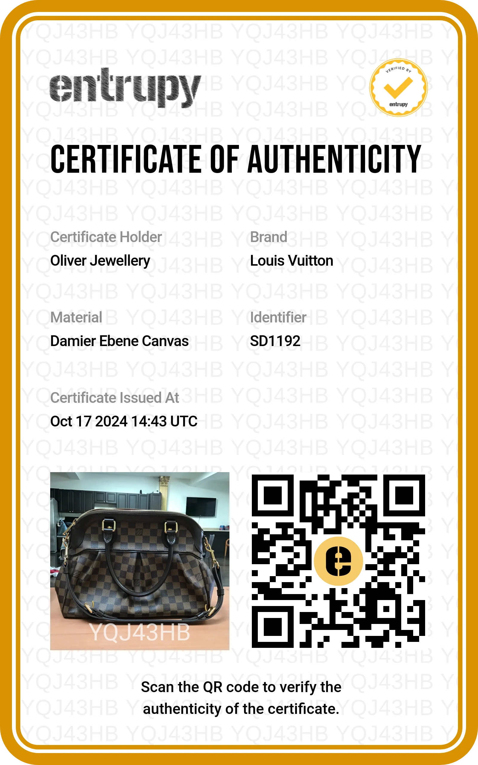 Louis Vuitton Damier Ebene Trevi PM w/ Strap - Image 10