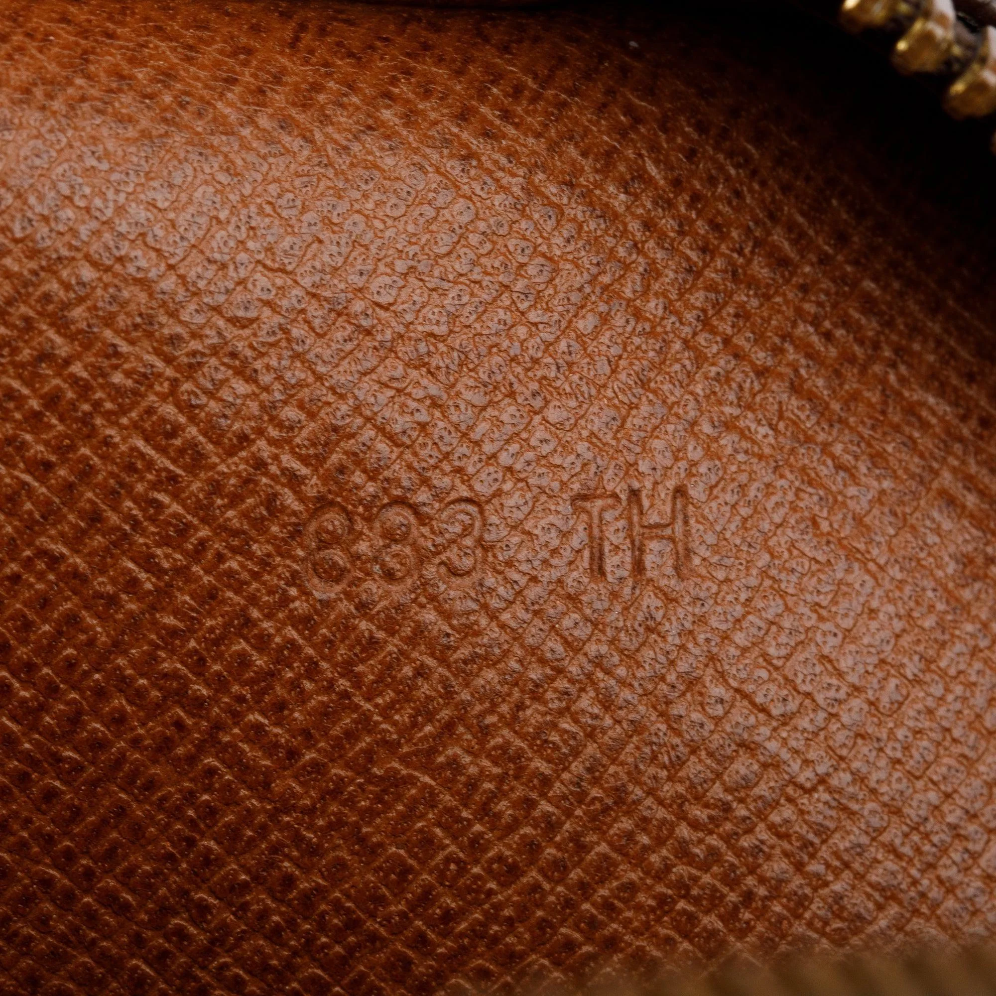 Louis Vuitton Monogram Amazone Crossbody Bag - Image 8
