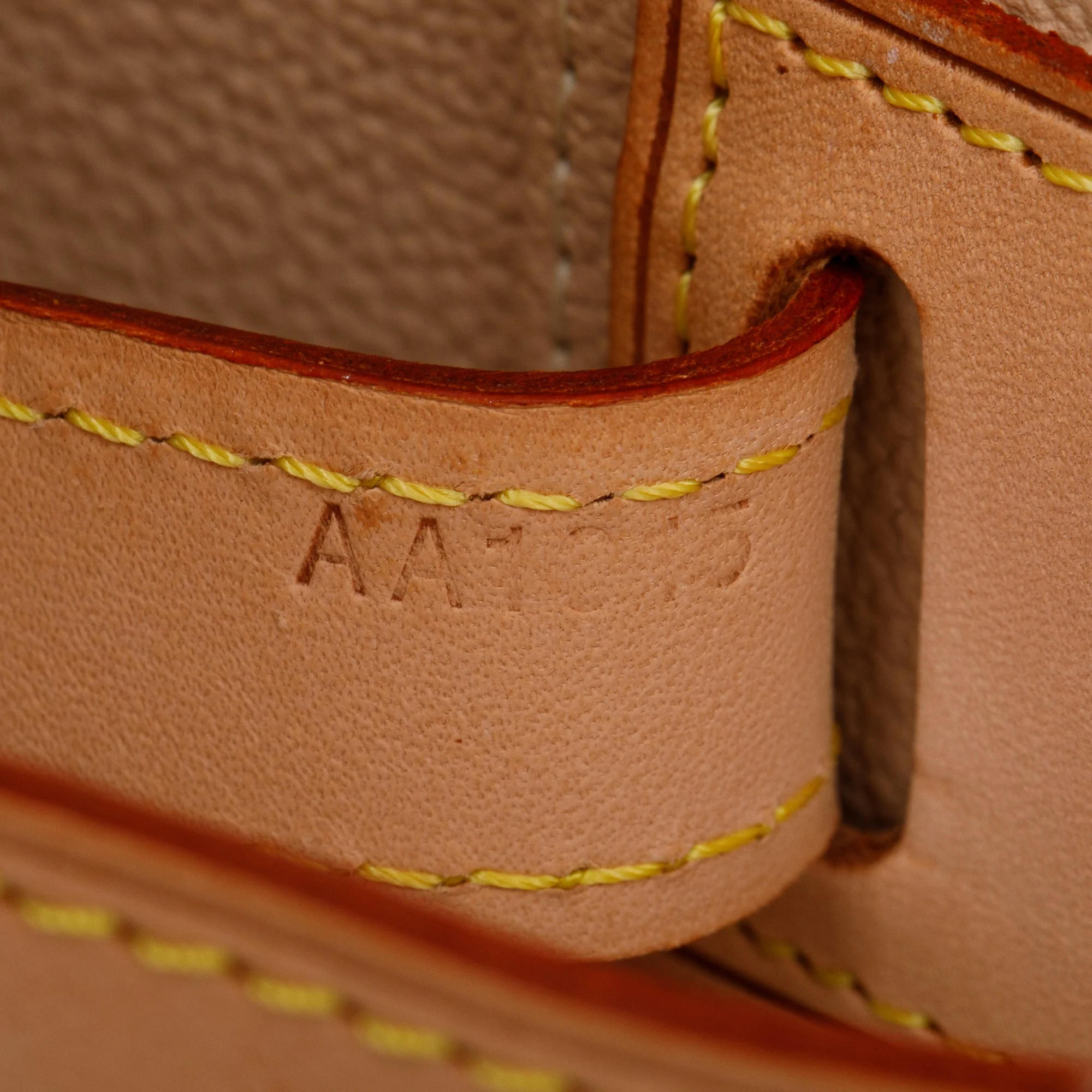 Louis Vuitton Monogram Nice Vanity w/ Strap - Image 10