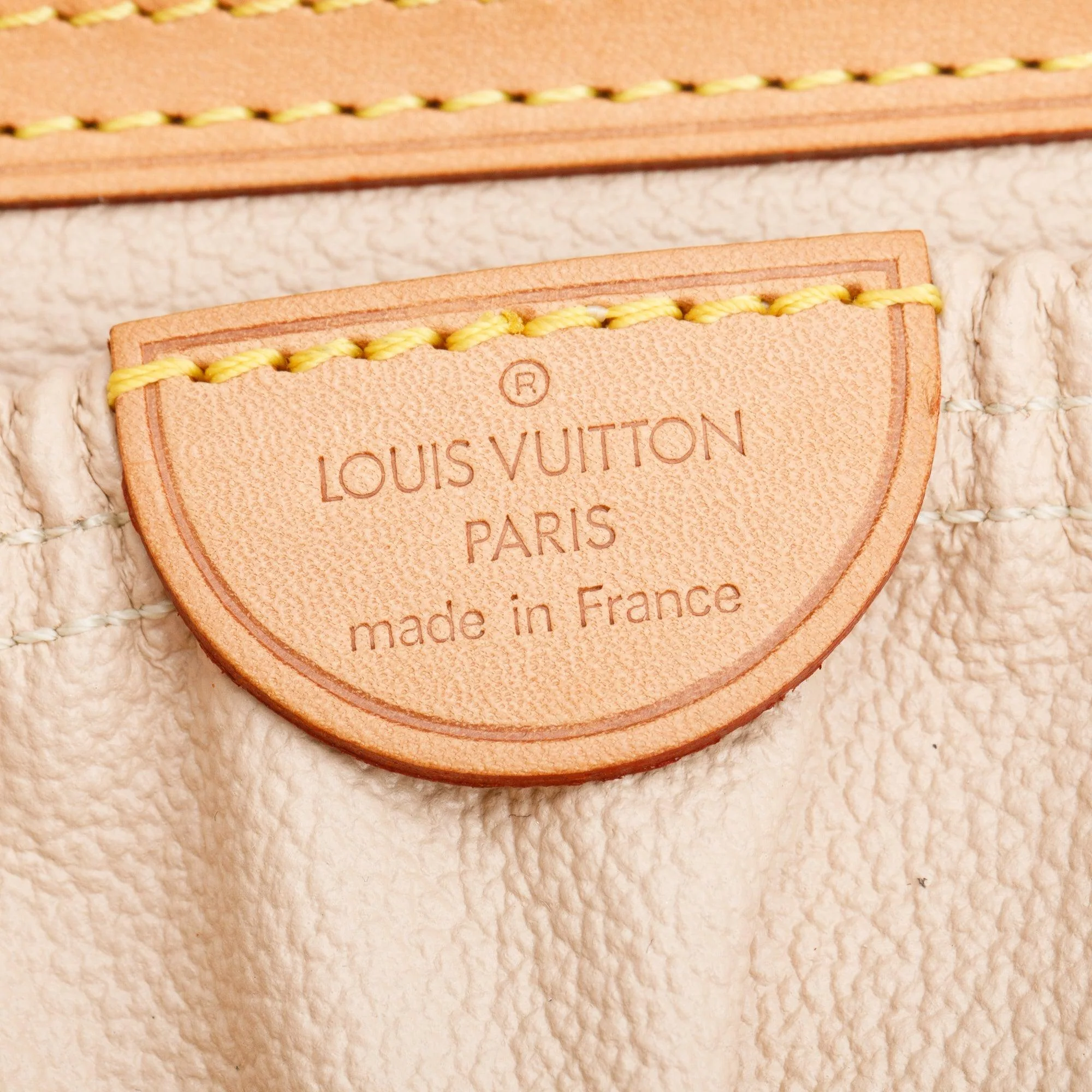 Louis Vuitton Monogram Nice Vanity w/ Strap - Image 9
