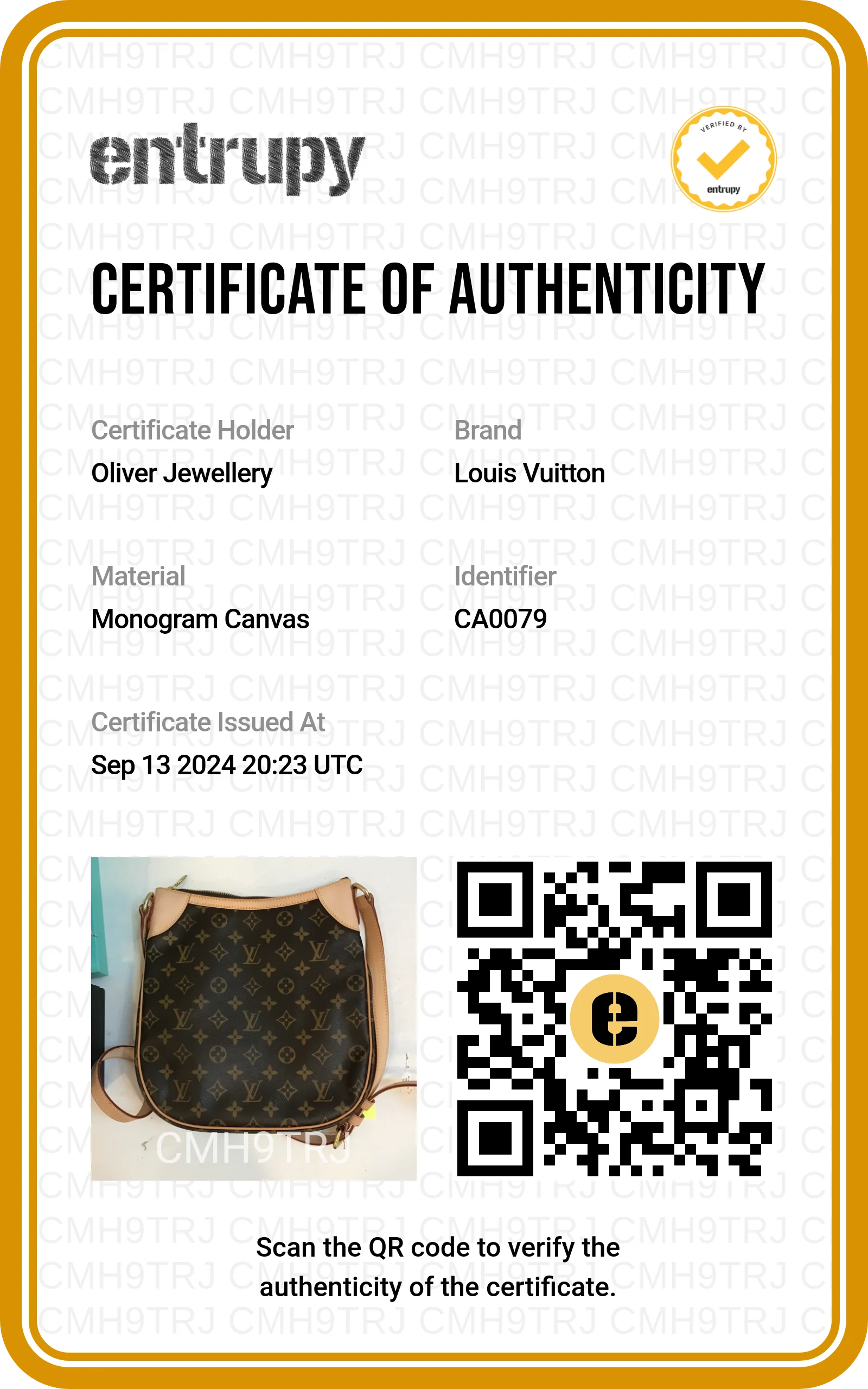 Louis Vuitton Monogram Odeon MM - Image 10