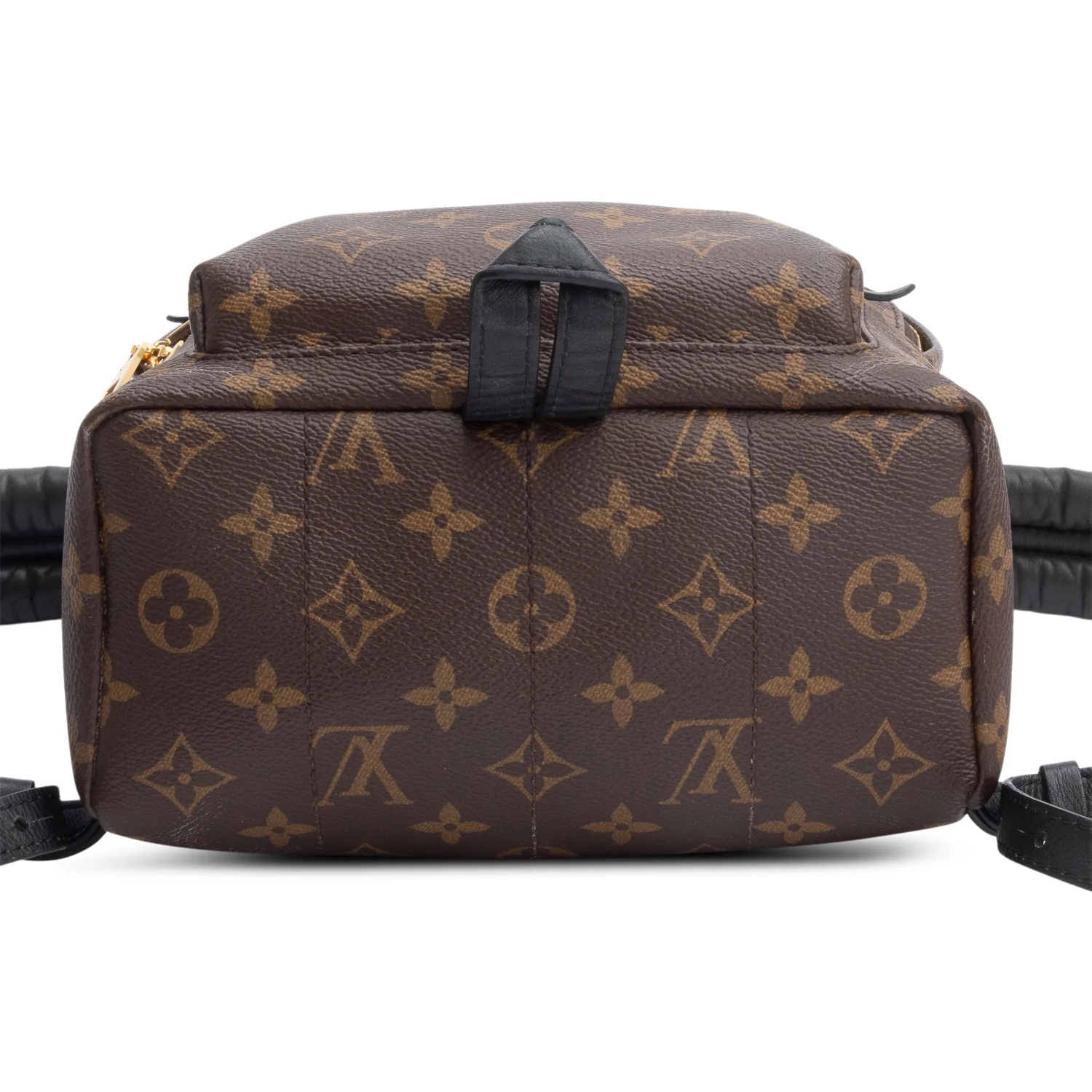 Louis Vuitton Monogram Palm Springs Backpack PM - Image 5