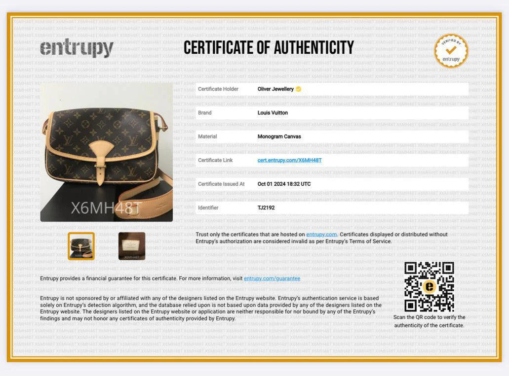 Louis Vuitton Monogram Sologne Crossbody Bag - Image 11