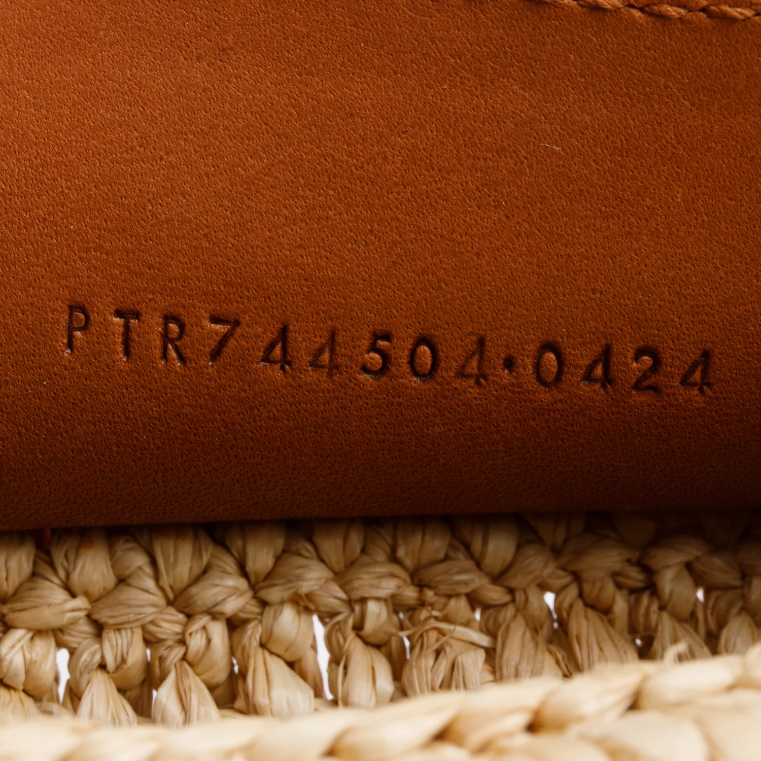 Saint Laurent 2024 Neutral Raffia Small Sade Tube Bag - Image 10