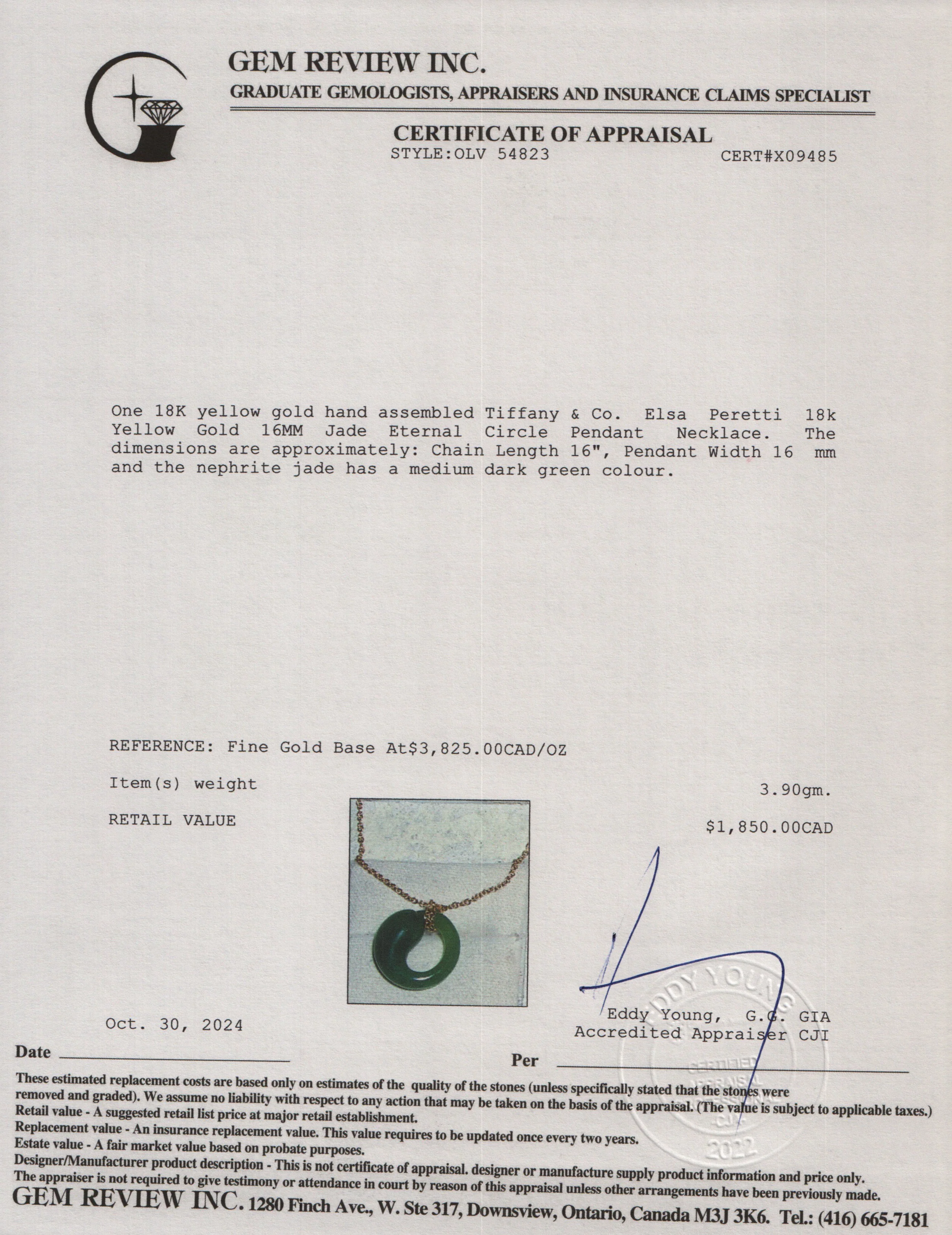 Tiffany & Co. Elsa Peretti 18k Yellow Gold 16MM Jade Eternal Circle Pendant Necklace w/ Box - Image 6