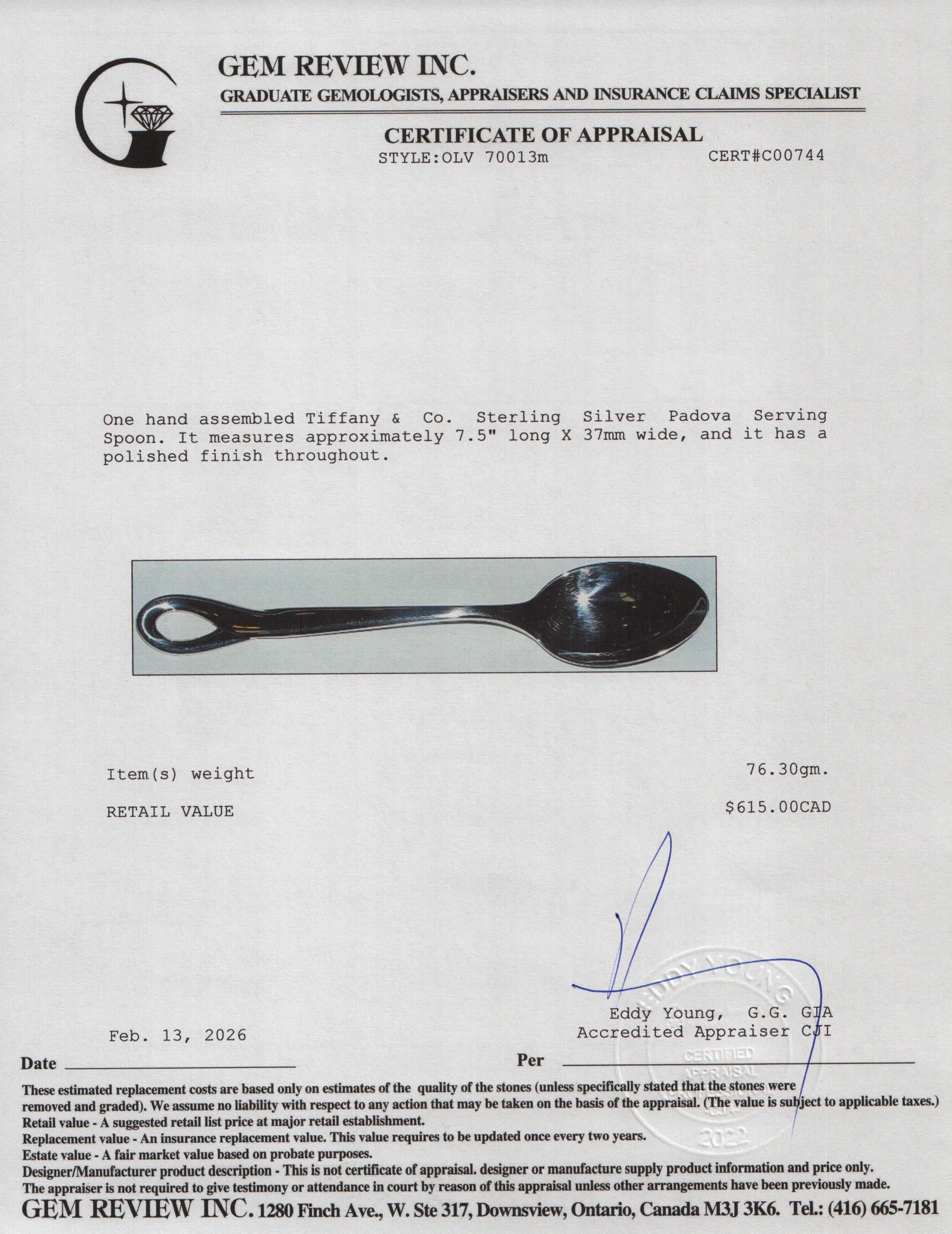 Tiffany & Co. Sterling Silver Padova Serving Spoon - Image 4