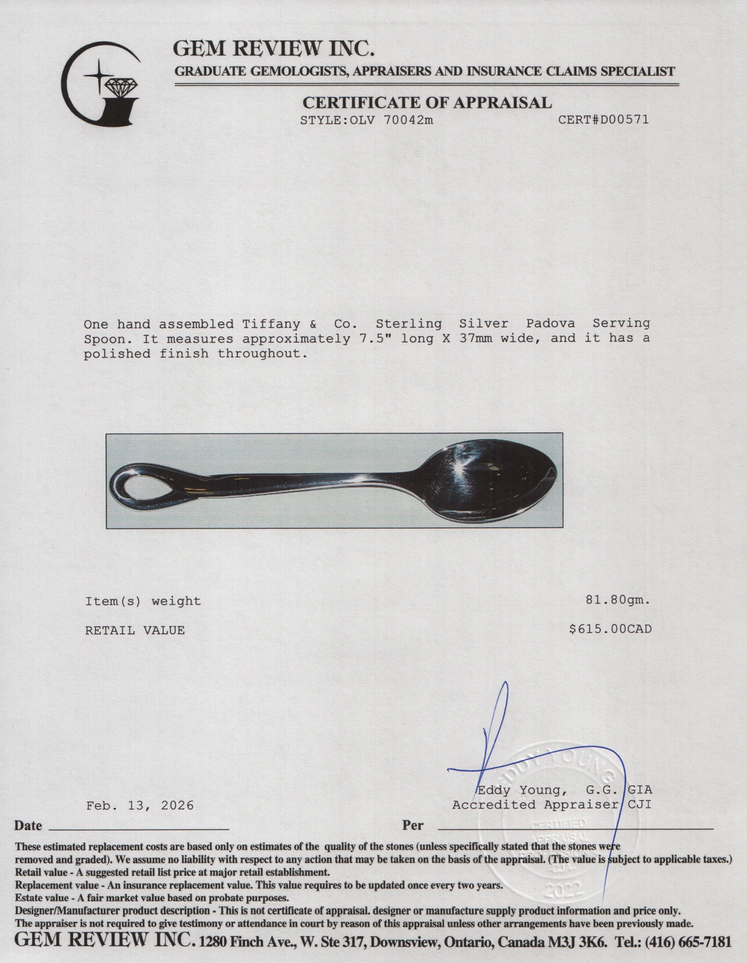 Tiffany & Co. Sterling Silver Padova Serving Spoon - Image 4